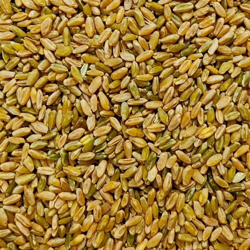 Freekeh | فريكة