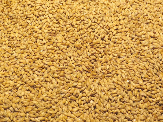 Wheat | قمح مقشور